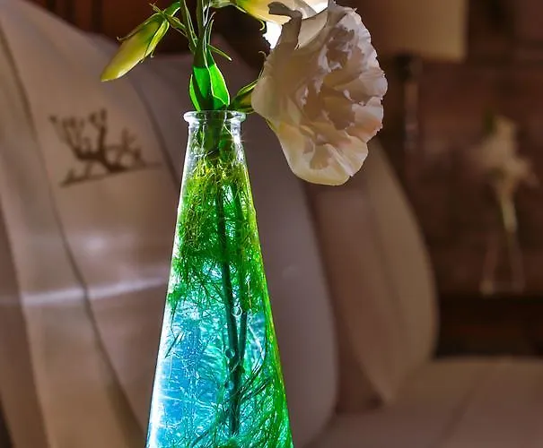 Hotel Kose Butik Hotel-special (adults Only) Alaçatı