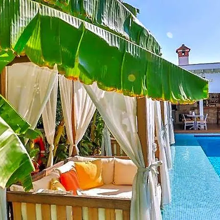 酒店 Kose Butik Hotel-special (adults Only) 3*