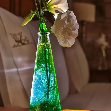 Hotell Kose Butik Hotel-special (adults Only) Alaçatı